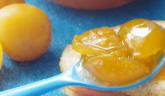 Confiture de mirabelles… l’or des Lorrains !!!