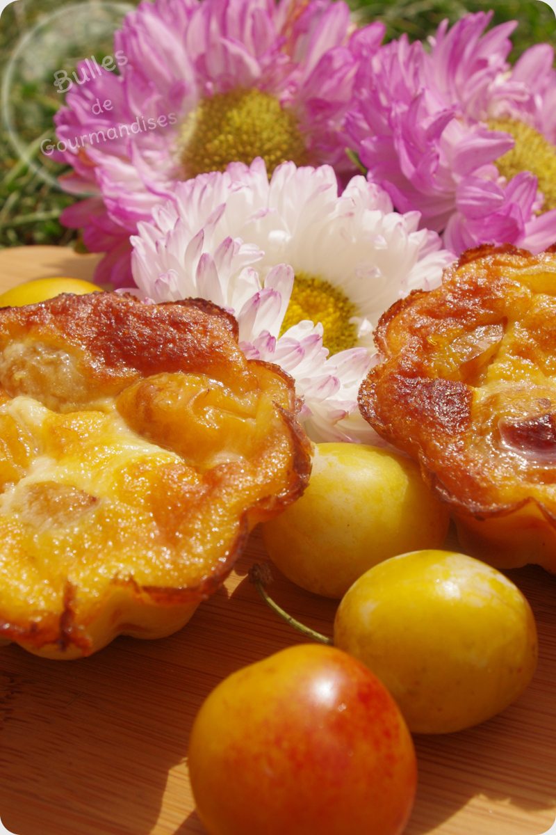 https://www.bullesdegourmandises.com/wp-content/uploads/2012/08/clafoutis-mirabelles-amandes4.jpg